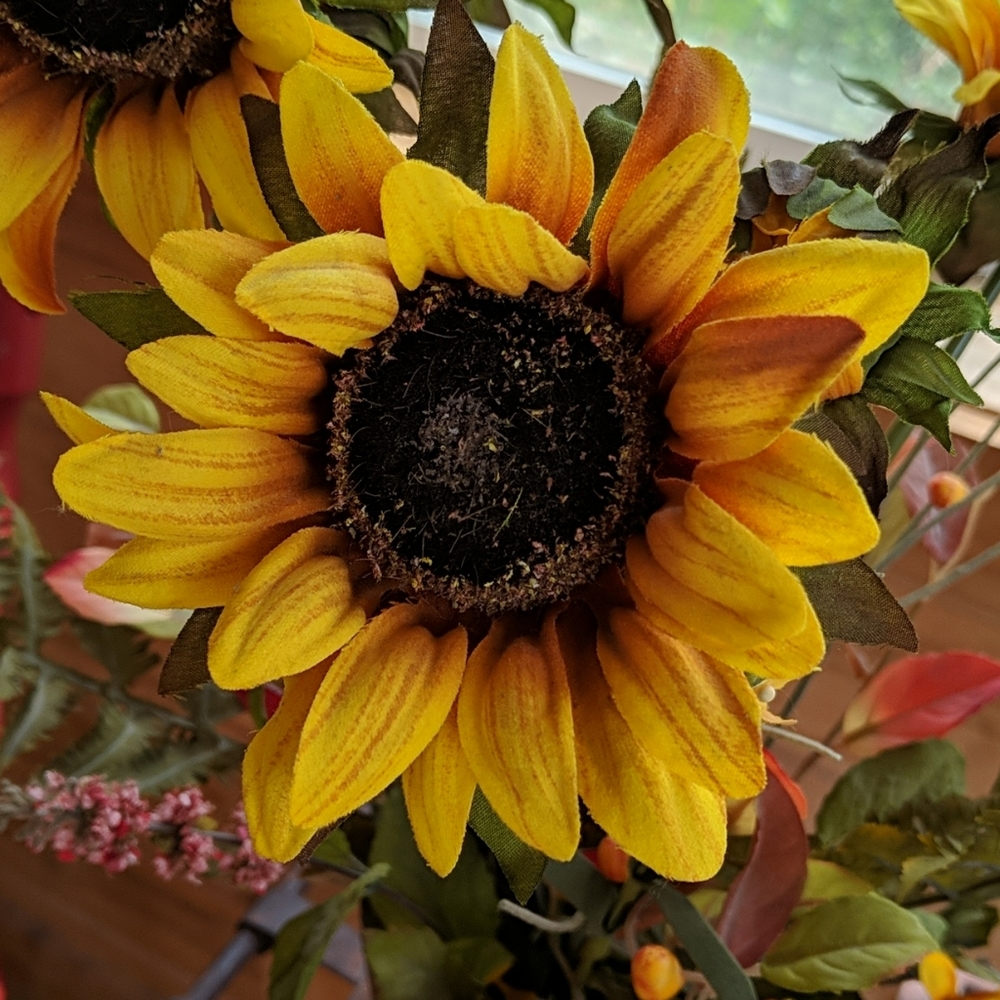 Sunflower floral arrangement - Picture 2 of 8